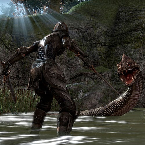 The Elder Scrolls Online Imperial Edition Cd Key